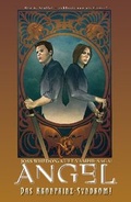 Cover: Angel Nach dem Fall - Panini Verlags GmbH