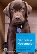Cover: Der blaue Hopsmajor - Vergangenheitsverlag