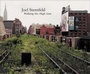 Cover: Walking the High Line - Steidl