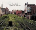 Cover: Walking the High Line - Steidl