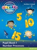 Cover: Heinemann Active Maths Northern Ireland - Key Stage 1 - Exploring Number - Pupil Book 1 - Number Processes - Heinemann