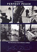 Cover: Perfect Peace - Steidl