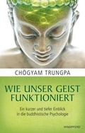 Cover: Wie unser Geist funktioniert - Windpferd