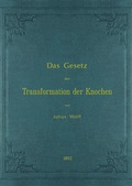 Cover: Das Gesetz der Transformation der Knochen - Westarp BookOnDemand