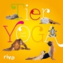 Cover: Tieryoga - Riva