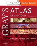 Cover: Gray's Atlas of Anatomy - Churchill Livingstone Inc