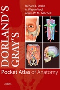 Cover: Dorland's/Gray's Pocket Atlas of Anatomy - Churchill Livingstone