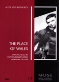 Cover: The Place of Wales - WVT Wissenschaftlicher Verlag Trier
