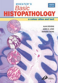 Abbildung von: Wheater's Basic Histopathology - Churchill Livingstone