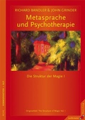 Cover: Metasprache und Psychotherapie - Junfermann