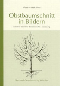 Abbildung von: Obstbaumschnitt in Bildern - Obst- und Gartenbauverlag des Bayerischen Landesverbandes für Gartenbau und Landespflege e.V.