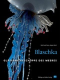Cover: Blaschka (HD-Version) - D&ouml;lling und Galitz