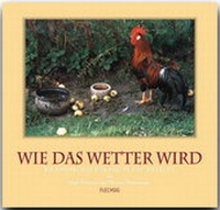 Abbildung von: Wie das Wetter wird - Flechsig