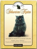 Cover: Schwarze Katze - Flechsig