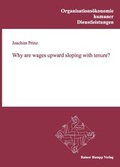 Cover: Why are wages upward sloping with tenure? - Edition Rainer Hampp