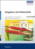 Cover: Umgehen mit Elektrizit&auml;t - Grundlagen f&uuml;r aktives Sicherheitsverhalten - Christiani, Paul