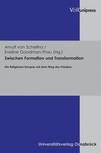 Enlarge image Cover: Zwischen Formation und Transformation - V&R unipress