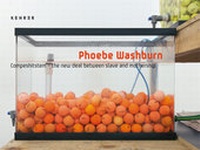 Enlarge image Cover: Phoebe Washburn - Kehrer Verlag