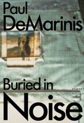 Cover: Paul DeMarinis - Kehrer Verlag