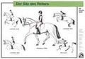 Cover: Der Sitz des Reiters - FN Verlag