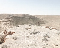 Enlarge image Cover: Matthew Arnold - Kehrer Verlag
