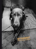 Cover: Michel Vanden Eeckhoudt - Kehrer Verlag
