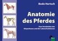 Cover: Anatomie des Pferdes - FN Verlag