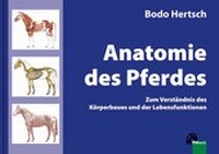 Abbildung von: Anatomie des Pferdes - FN Verlag