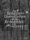 Cover: Im Schein des Unendlichen - Wienand