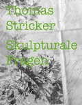 Cover: Thomas Stricker - Skulpturale Fragen - Modo Press