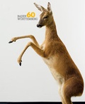 Cover: Baden-W&uuml;rttemberg 60 - Modo Press