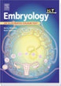 Bild: Embryology - Churchill Livingstone