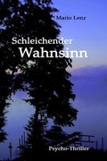 Cover: Schleichender Wahnsinn - AAVAA Verlag