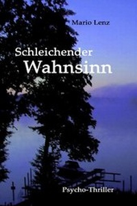Abbildung von: Schleichender Wahnsinn - AAVAA Verlag