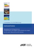 Cover: Energieeffizienz : Tagungsband des VDI-Expertenforums "Energieeffizienz in den St&auml;dten und der Industrie von morgen" ; vom 22. und 23. Februar 2011 am KIT, Karlsruhe - KIT Scientific Publishing