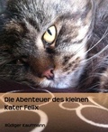 Cover: Die Abenteuer des kleinen Kater Felix - BookRix