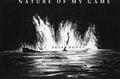 Cover: Nature of my game - TEXTEM VERLAG