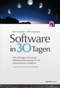 Cover: Software in 30 Tagen - dpunkt
