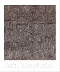 Cover: Max Wechsler - JOVIS Verlag