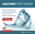 Cover: Anatomie Pr&auml;p-Trainer - Quintessenz Verlag