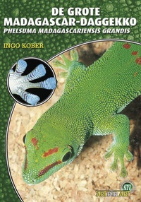 Abbildung von: De Grote Madagascar-Daggecko (niederl.) - Natur und Tier