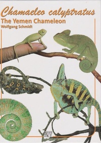Abbildung von: Chamaeleo calyptratus - Natur und Tier