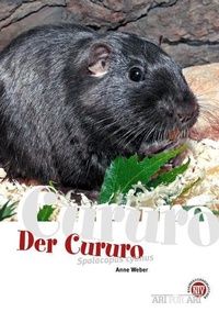 Abbildung von: Der Cururo - Natur und Tier