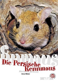 Abbildung von: Die Persische Rennmaus - Natur und Tier