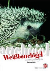 Abbildung von: Weißbauchigel - Natur und Tier