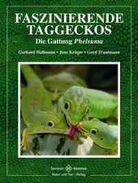 Abbildung von: Faszinierende Taggeckos - Natur und Tier