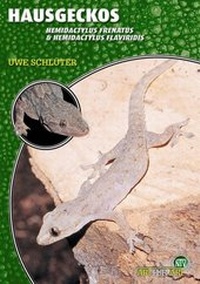 Abbildung von: Hausgeckos - Natur und Tier