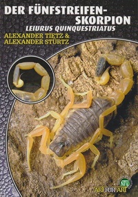 Abbildung von: Der Fünfstreifen-Skorpion - Natur und Tier