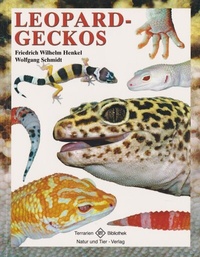 Abbildung von: Leopardgeckos - Natur und Tier