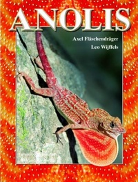 Abbildung von: Anolis - Natur und Tier
